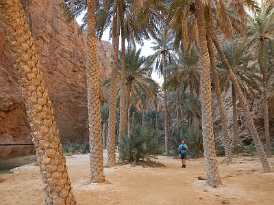 103 Oasis wadi shab